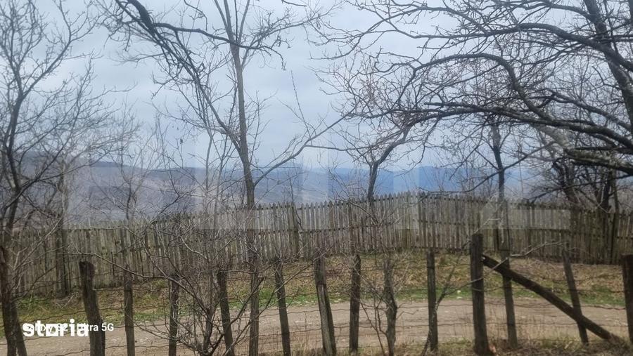 Teren de 3781 mp, în Izvoarele