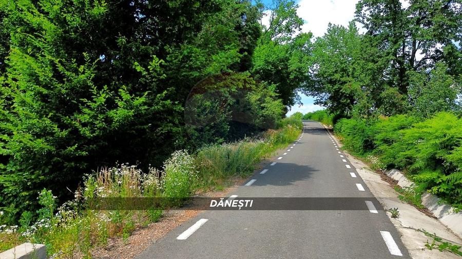 Teren agricol intravilan de 6115 mp, în Dănești