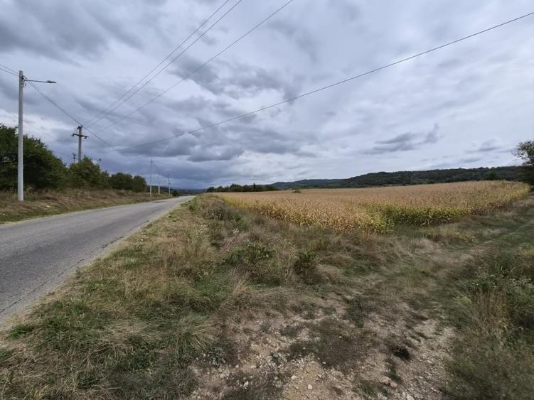 Teren Construcții intravilan de 40000 mp, în Mihăești