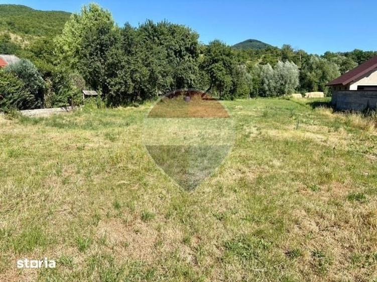 Teren de 3154 mp, în Bârsana