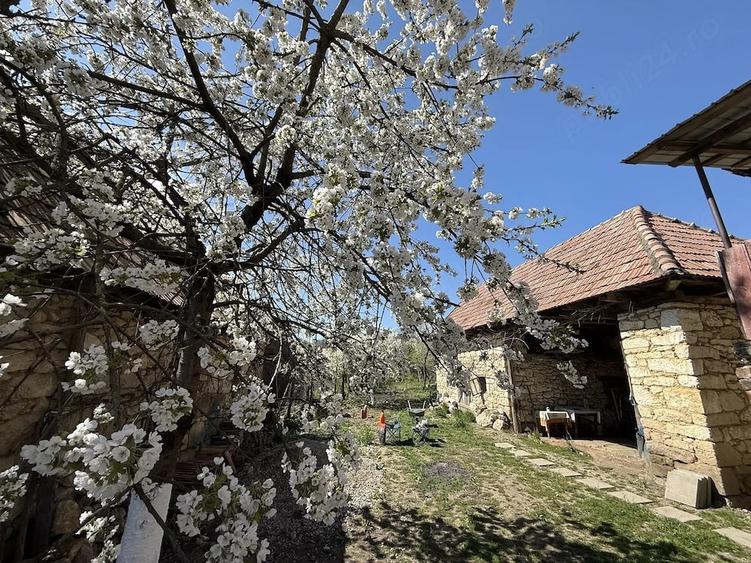 Casă cu Teren 470 Mp în Podeni