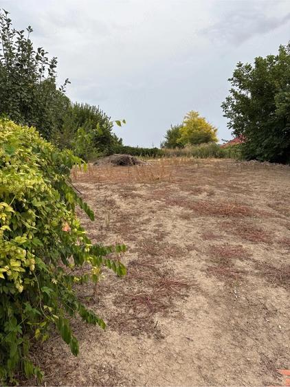 Casă cu Teren 2000 Mp în Prundu