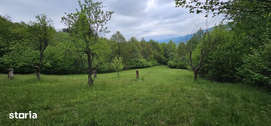 Teren de 17422 mp, în Central