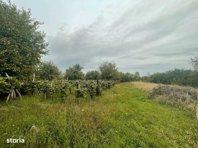 Casă cu 2 camere în Lipău