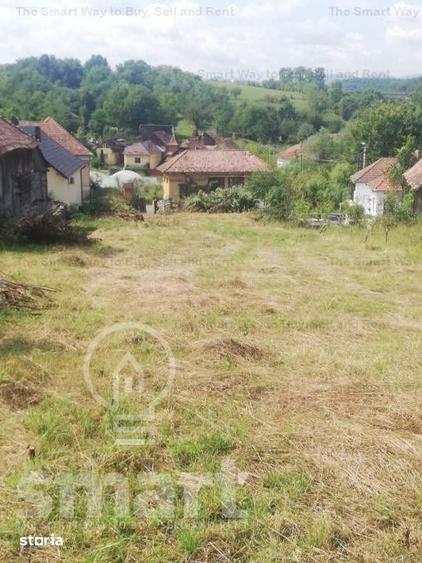Teren de 5400 mp, în Sava