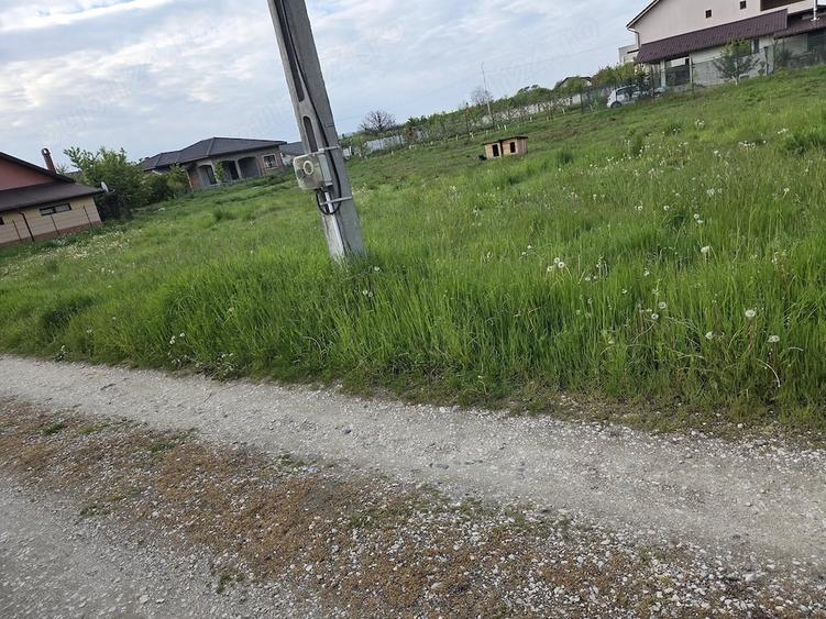 Teren de 739 mp, în Bogdănești (Bujoreni)