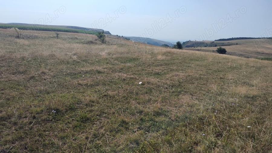 Teren de 5000 mp, în Tureni