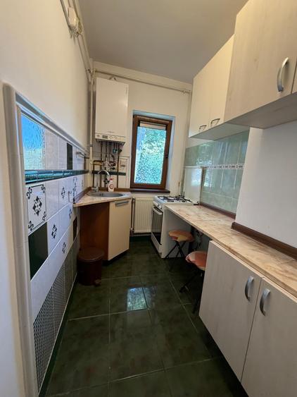 Baba  Novac Dristor Muncii - FARA INTRETINERE - Gradina proprie de 30MP - 1
