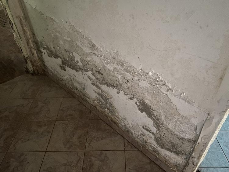 Casă individuală cu 5 camere cu Teren 1381 Mp în Costești