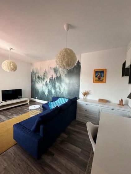 Calarasi-Decebal-7 minute metrou P-ta Muncii,apartament 2 camere,2 bai - 12