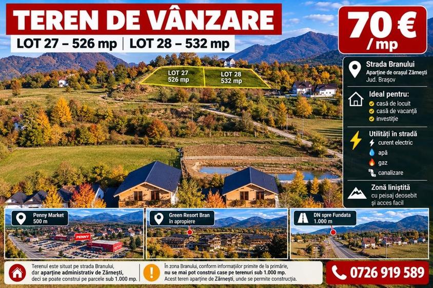 Spațiu comercial, în Bran