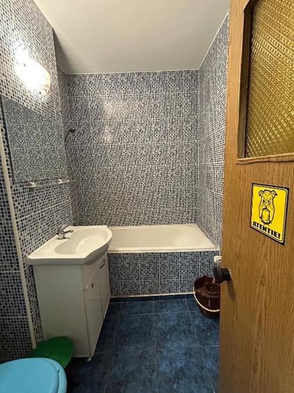 Apartament cu 2 camere semidecomandat, mobilat în Gorjului