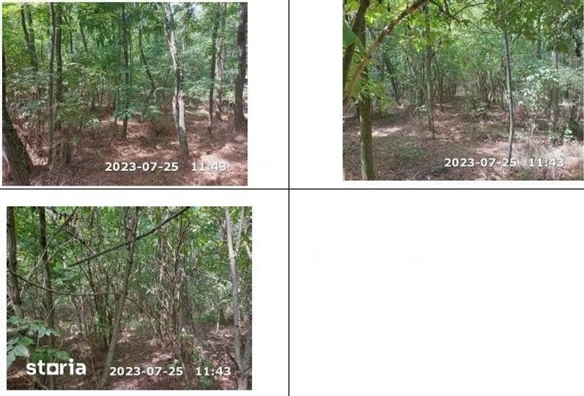 Teren de 35000 mp, în Horgești