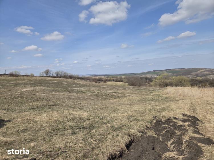 Teren de 11500 mp, în Mihai Viteazu
