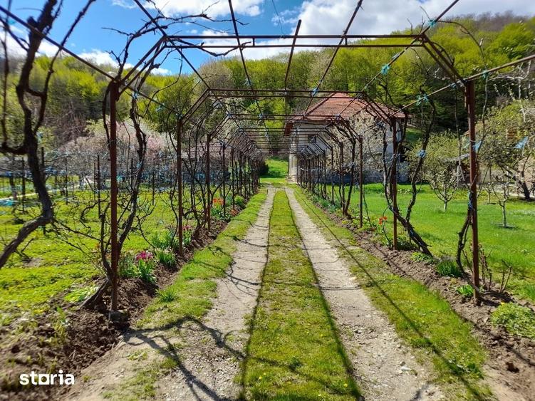 Casă cu 6 camere cu Teren 2559 Mp în Peștișani