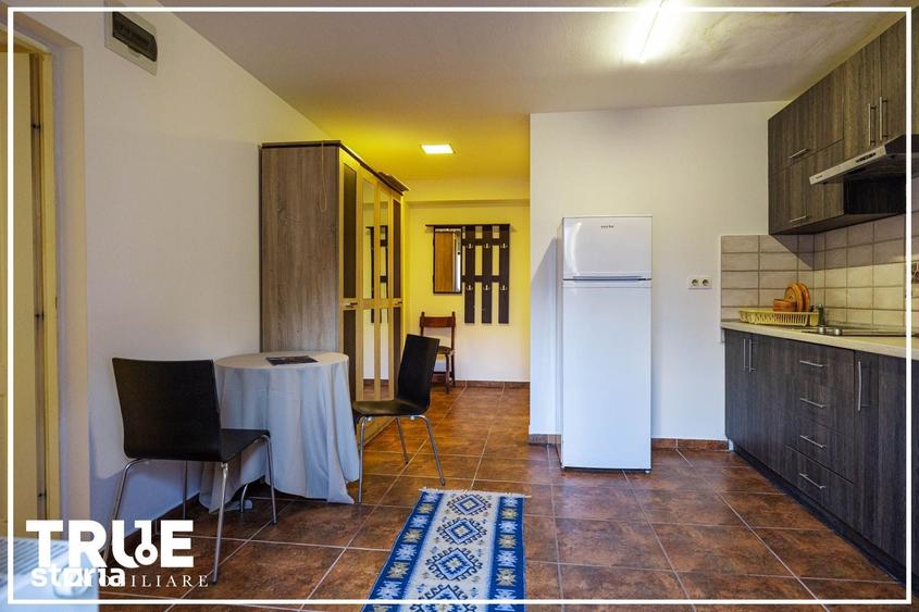 Ap. 2 camere de inchiriat Ultracentral, Targu Mure? - 12