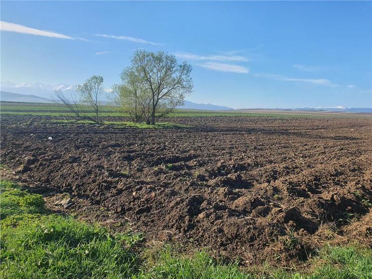 Teren extravilan 4.500- max.18.300mp in comuna Rosia (17 km de Sibiu) - 4