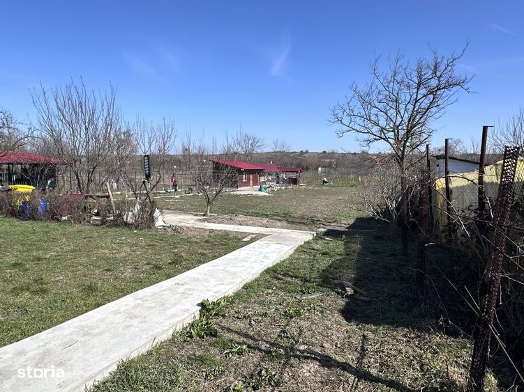 Teren de 3000 mp, în Mischii