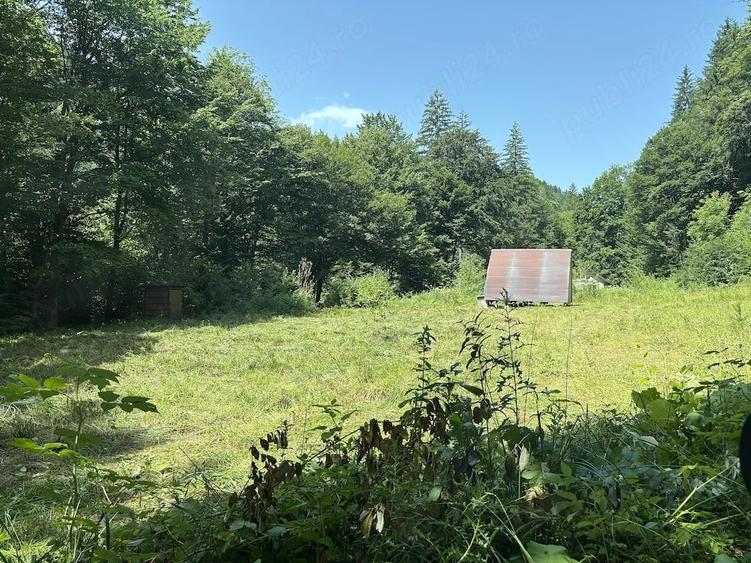 Teren de 3275 mp, în Frumoasa