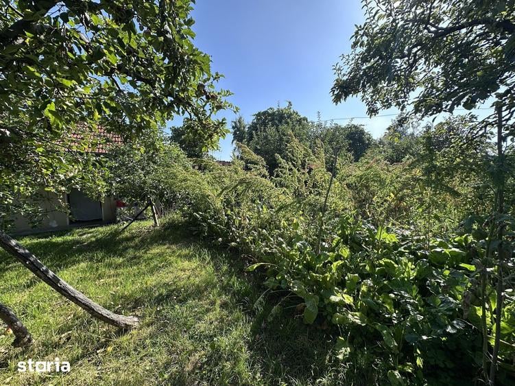 De vanzare: casa in inima unei superbe zone de deal, Valeni-Dambovita - 18