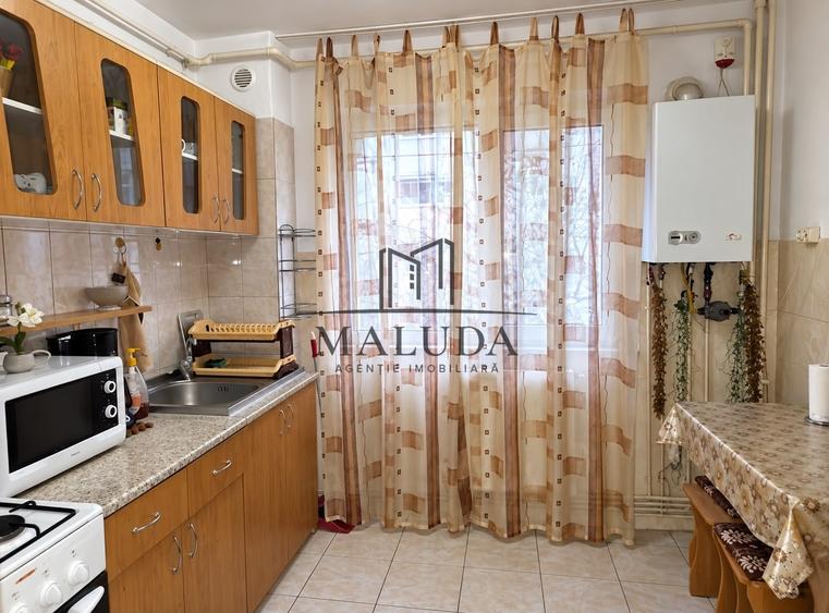 Apartament cu 2 camere semidecomandat, mobilat în Banat