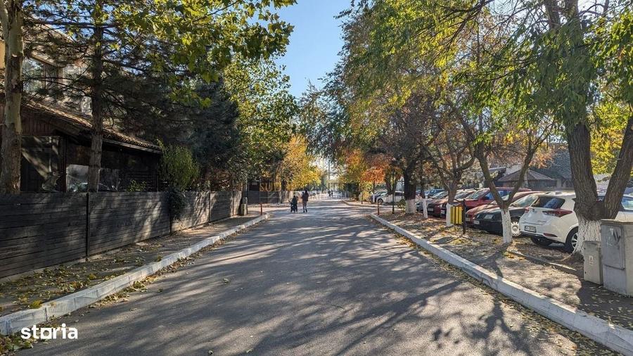Spațiu comercial, în Adunații-Copăceni