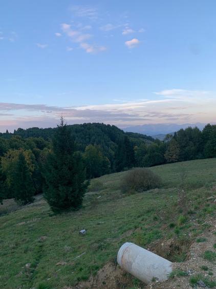 Teren agricol extravilan de 5000 mp, în Glod