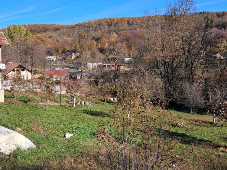 Casă cu 3 camere cu Teren 6772 Mp în Ursoaia