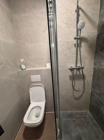 Apartament cu 3 camere în Grozăvești