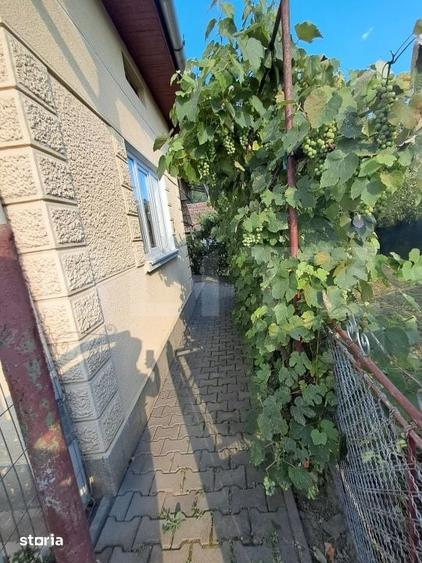 Casă cu 3 camere cu Teren 992 Mp în Criș