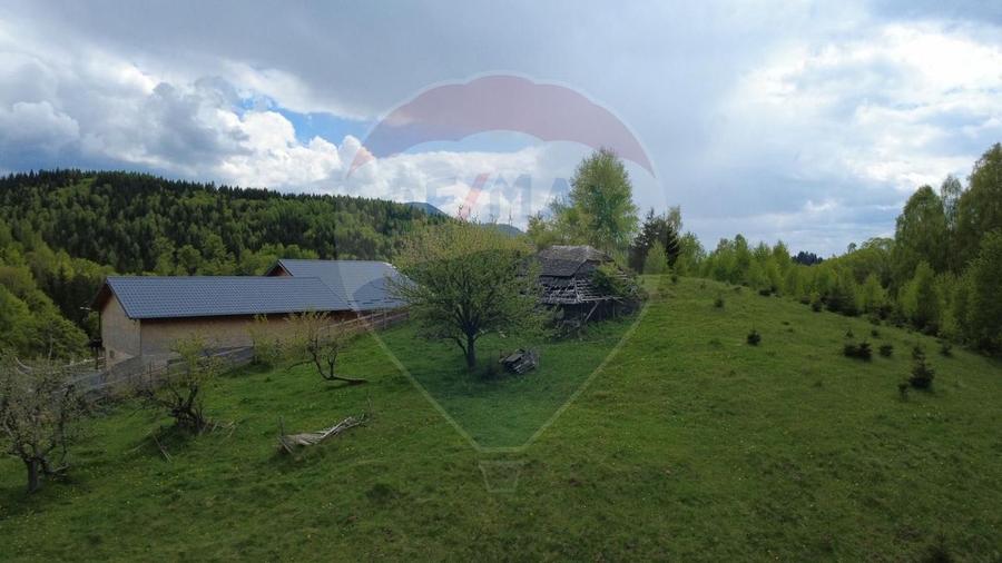 Teren agricol extravilan de 38704 mp, în Șirnea