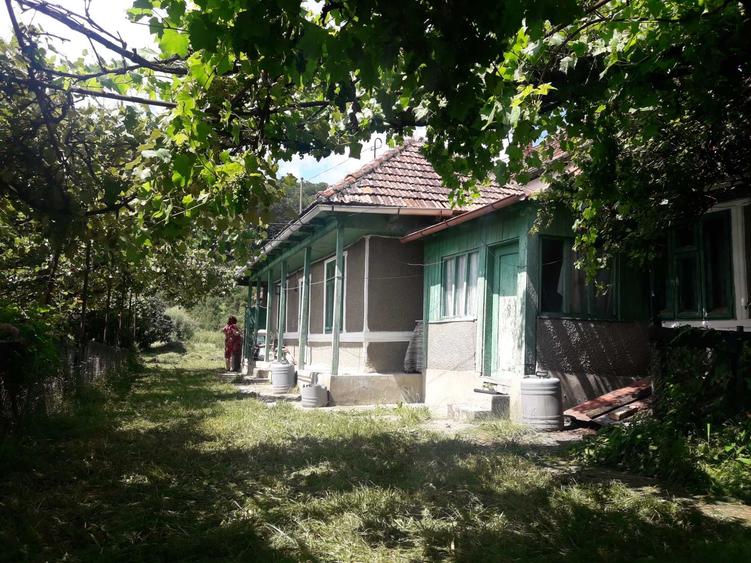 Casă cu 2 camere în Central