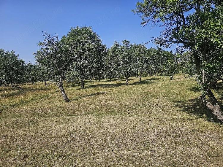 Teren de 11033 mp, în Nucșoara de Sus