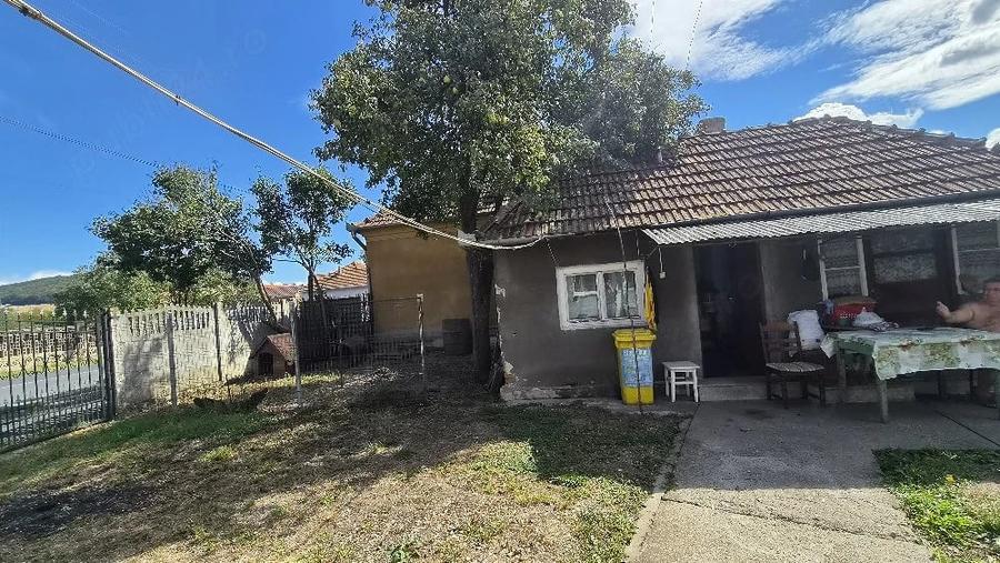 Casă cu Teren 2893 Mp în Brănișca