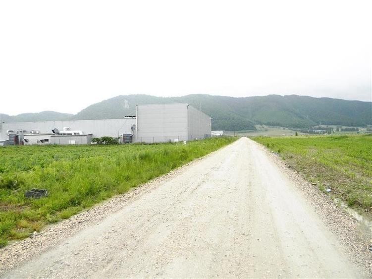 Teren Construcții intravilan de 2000 mp, în Est