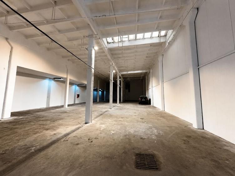 Spațiu industrial, de 5,000 mp, în Titan