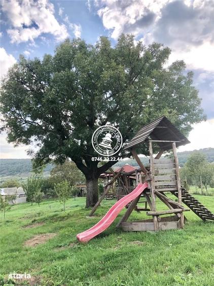 Teren de 6200 mp, în Mogoșești