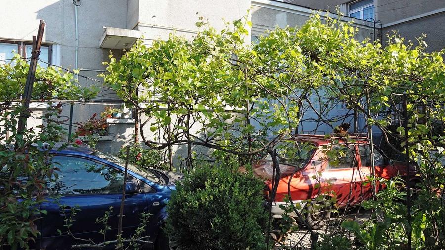 Casă cu 4 camere în Ultracentral