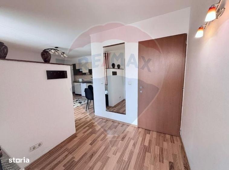 Apartament spatios-3 camere-la curte in Turnisor - 5