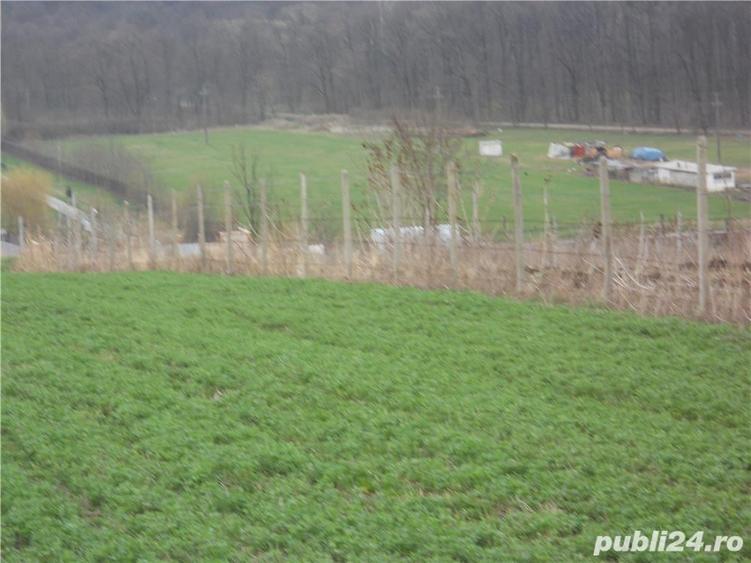 Teren de 4900 mp, în Central