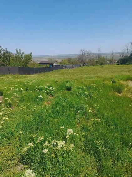 Teren de 1500 mp, în Foltești