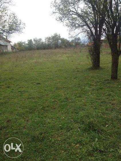 Teren de 12000 mp, în Pociovaliștea