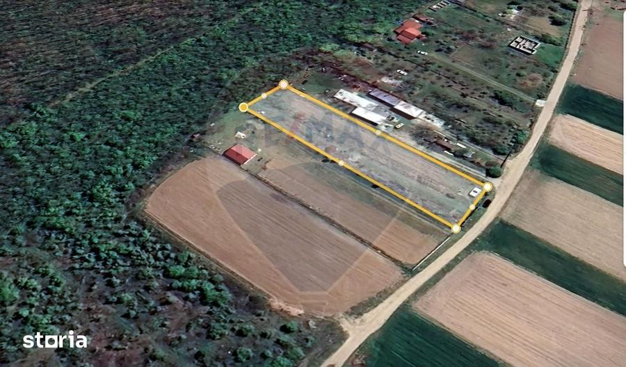 Teren de 2200 mp, în Bulbucata