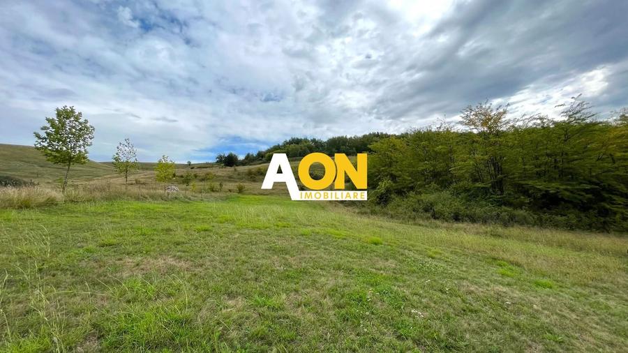 Teren Construcții intravilan de 4200 mp, în Ciugud
