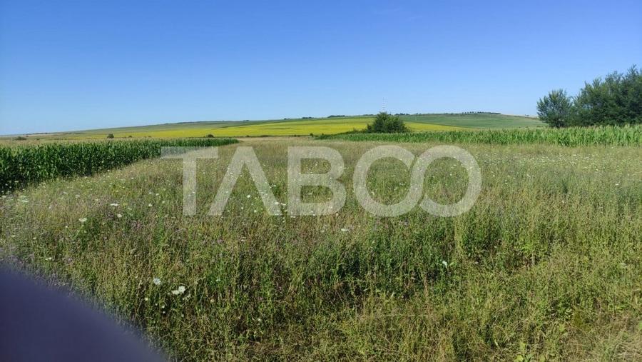 Teren agricol extravilan de 25920 mp, în Șura Mică