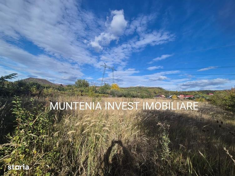 Spațiu comercial, în Călinești