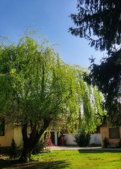 Casă cu 4 camere în Tecuci