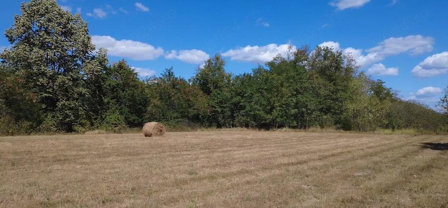Teren de 10500 mp, în Nadăș