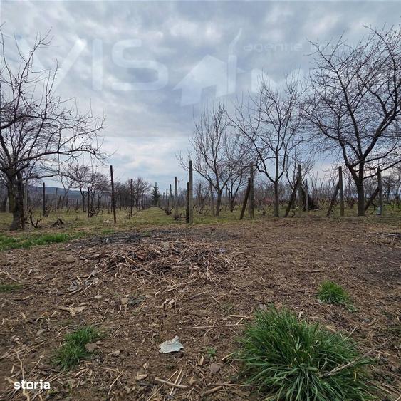 Casă cu 3 camere în Central