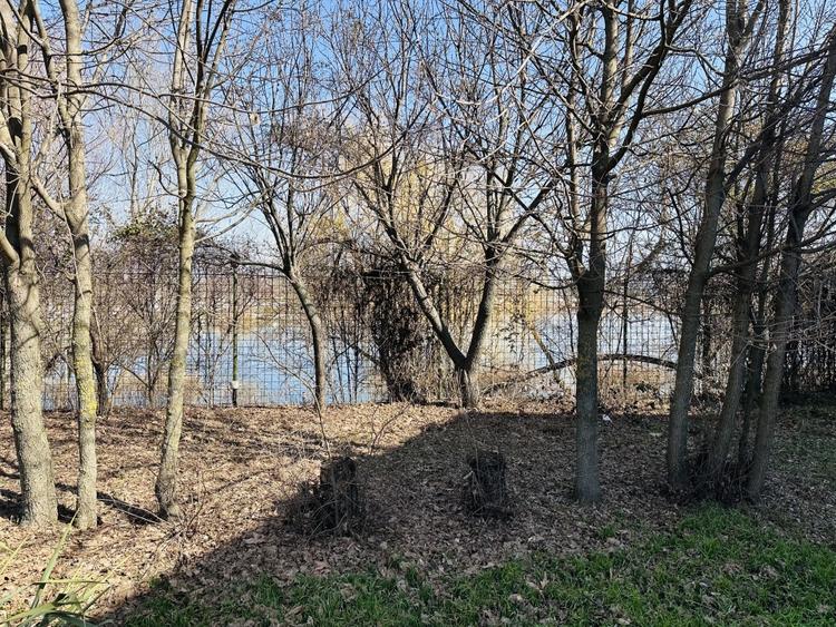 Casă individuală cu 7 camere cu Piscina în Roșu
